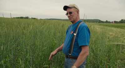 And soon as the soybeans
come off, - The Pollinators