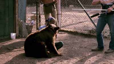 And we spent an afternoon
with this bear in a pen, - Making Waves: The Art of Cinematic Sound