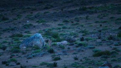 And she spied an opportunity. - Earth at Night in Color