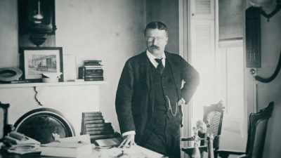 And to stand up to the bully, - Theodore Roosevelt