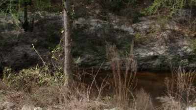 And she started asking
me about the creek - Final Moments