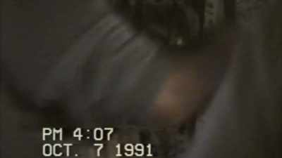 And it started moving. - Alabama Snake