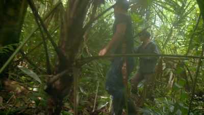 And this structure could
have had a very particular purpose. - Lost Treasures of the Maya