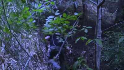  And this structure
 looks remarkably - Expedition Bigfoot