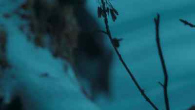 And to succeed, as usual, - Prehistoric Planet