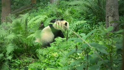 And such a handful
that Mum's only too happy - A Year on Planet Earth
