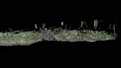 And suddenly, I can strip
away the trees - Lost Treasures of the Maya