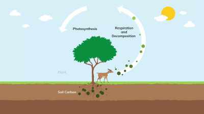 And that sugar came from
a plant, - Plastic Earth