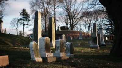 And take a taxi to a cemetery. - United States of Animals