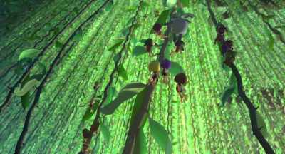 And Team Tropolis
taking the early lead. - Maya the Bee: The Honey Games