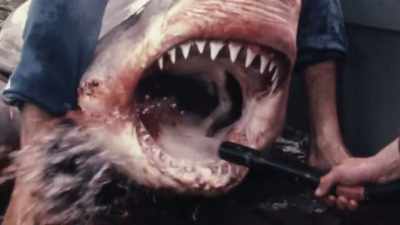 And that was actually the first time
I started to realize - Playing with Sharks