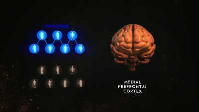 AND THAT BRAIN ACTIVITY
IS VISIBLE TO RESEARCHERS. - Why We Hate