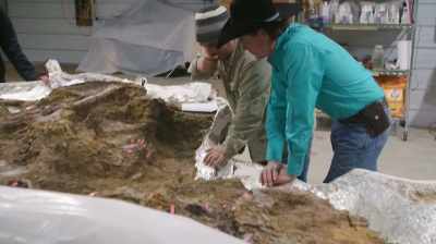 AND THAT ONE RIGHT MAXILLA IS
MISSING ALL ITS TEETH. - Dino Hunters