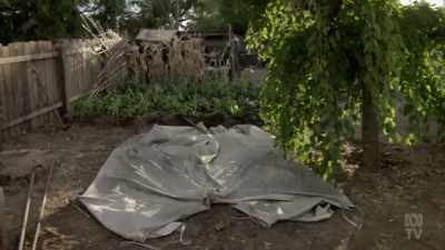 And that is Oriel setting up a tent
in the backyard, - Books That Made Us