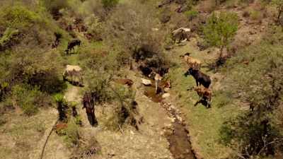 And for that,
we have the Spanish to thank, - Eva Longoria: Searching for Mexico