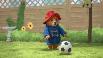 -And that's a tackle.
-Um… - The Adventures of Paddington