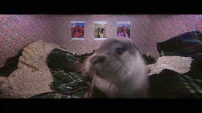 And that's when Billy
would need to back right off. - Billy & Molly: An Otter Love Story
