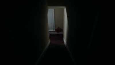 AND THAT'S -- - An American Murder Mystery: The Staircase