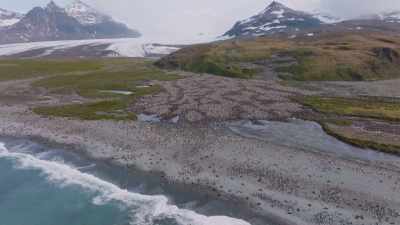 And that's the thing about
South Georgia, - Shackleton: The Greatest Story of Survival