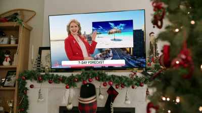 And that's the wrong graphic! - Snowy with a Chance of Christmas