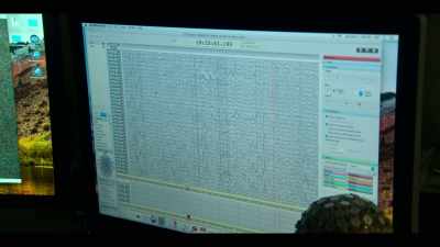 And that's what we see in the EEG activity - Babies