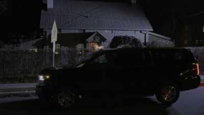And that's what we're going
to make the focus - The Holzer Files