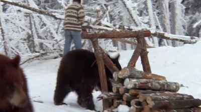 AND THAT'S WHEN THE BEAR
WENT OVER THE MOUNTAIN. - The Bears and I