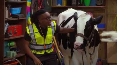 - And that's why
you should never feed - Side Hustle