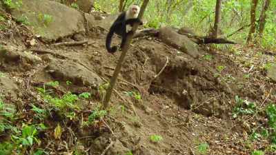 And the best drinking spot - The Secret Lives of Animals