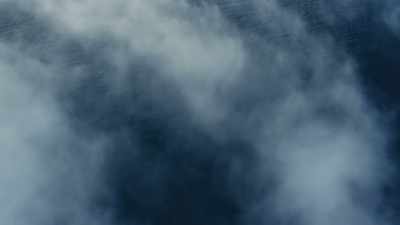 And the cause of this?
Carbon dioxide. - Blue Planet II