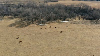 And the circumstances
under which these things happen, - Beyond Skinwalker Ranch
