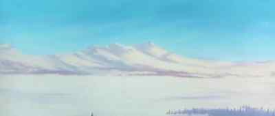 And the competition was very fierce - Balto