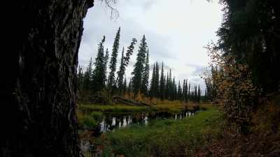 And the Cosna's a really
tough place to harvest fish. - Life Below Zero: Next Generation