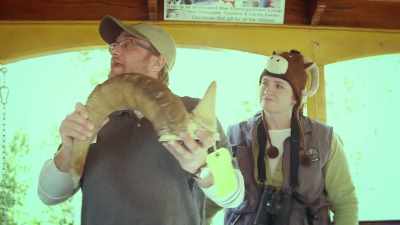 And the difference is that
antlers get lost once a year. - United States of Animals