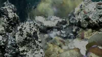 And the discoveries
that have been made - Origins: The Journey of Humankind