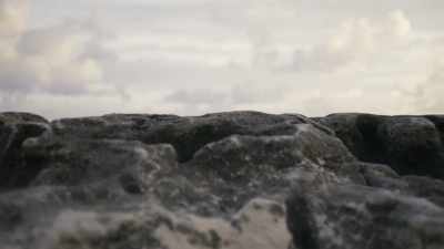 And the ebbing tide
has exposed a rocky reef. - Planet Earth III