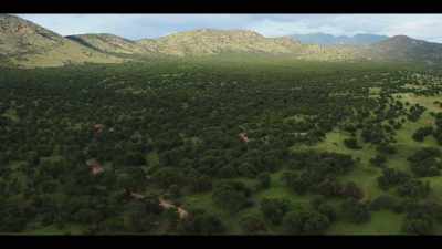 And the extreme highs and lows were made - The History of Home Narrated by Nick Offerman
