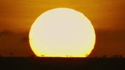 'And the great migration
won't return until summer. - A Year on Planet Earth