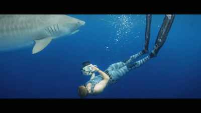 And the larger sharks are
actually a lot more knowledgeable - Envoy: Shark Cull