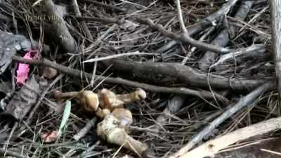 And once the Levy County
Sheriff's Office got there, - Floribama Murders