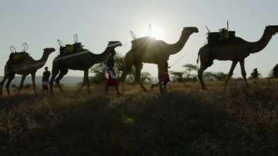 ..and the methods
by which they're dispersed... - The Green Planet