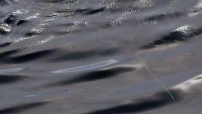 "And the most obvious difference..." - Secrets of the Whales