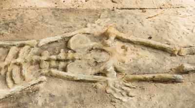 And when the mound
was uncovered, - Alien Worlds: Giants and Hybrids