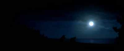 and-the-nature-spirits-around-me - The Lost Viking
