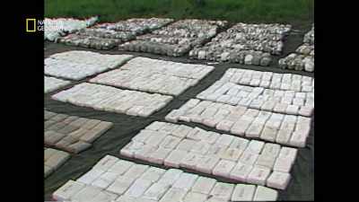 And the notion that, um, - America's War on Drugs