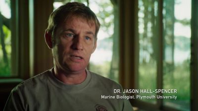 And the ocean's chemistry is changing really rapidly - Racing Extinction