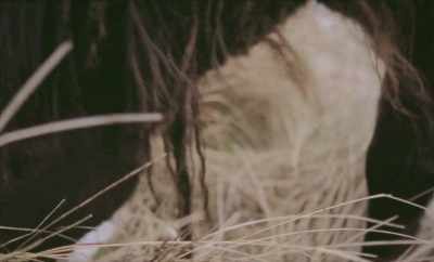 And the other thing
that I found was that - Geographies of Solitude