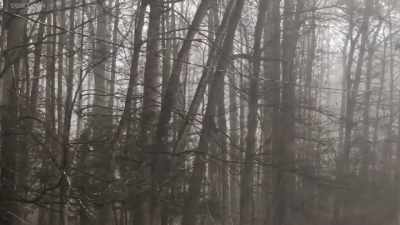 And for the past week and
a half I've been hearing - The Fear Footage