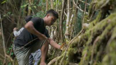 And the people who start these
projects, these root bridges, - A Brief History of the Future