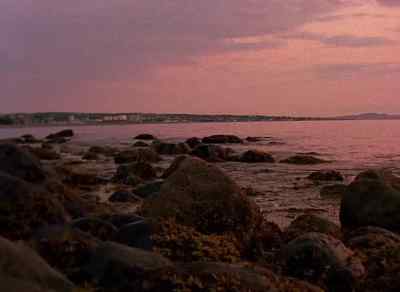 And the policeman who found him - Dear Zachary: A Letter to a Son About His Father